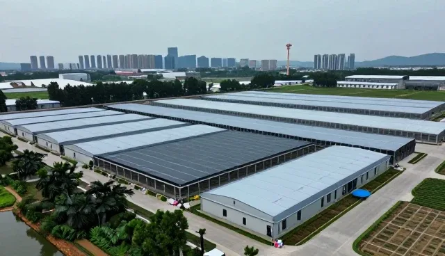 AI测评报告中常见问题与应对策略